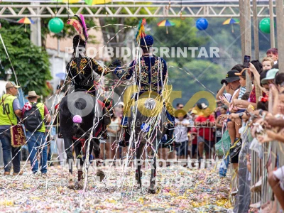 Detalhes da foto #58695