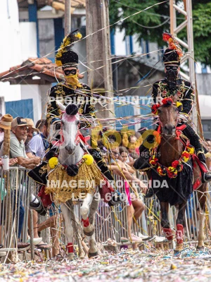 Detalhes da foto #55048