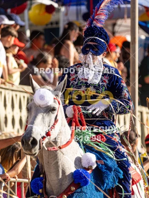 Detalhes da foto #47639