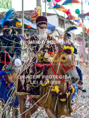 Detalhes da foto #31906