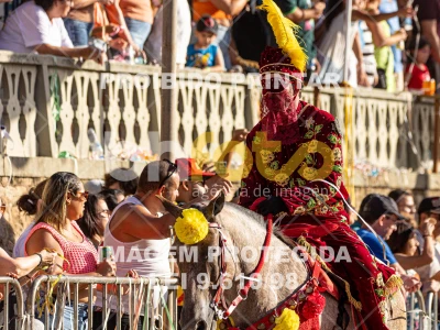 Detalhes da foto #78303