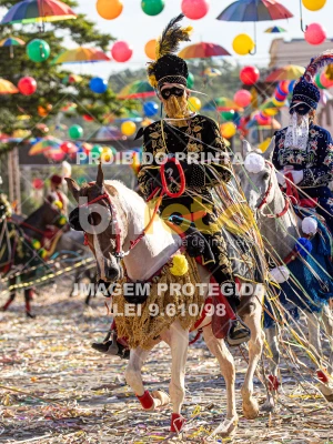 Detalhes da foto #57529