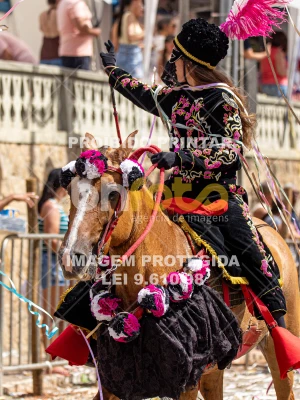 Detalhes da foto #90702