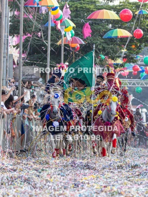 Detalhes da foto #99738