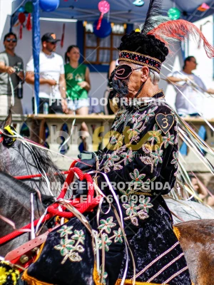 Detalhes da foto #46307