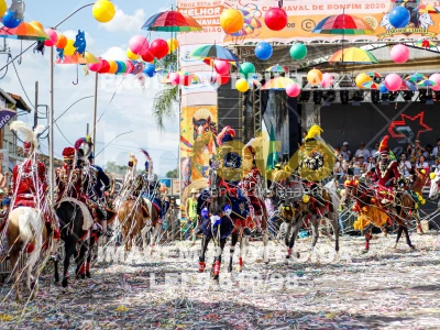 Detalhes da foto #93399