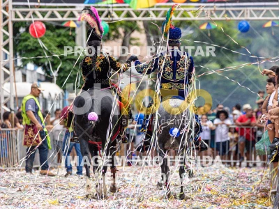 Detalhes da foto #53705