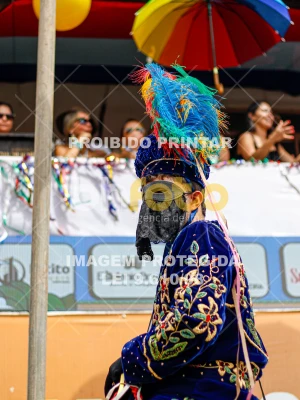 Detalhes da foto #98881