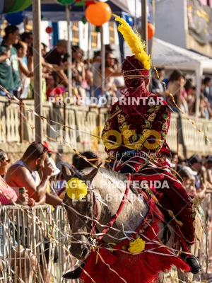 Detalhes da foto #13667