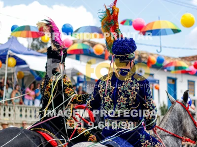 Detalhes da foto #17454