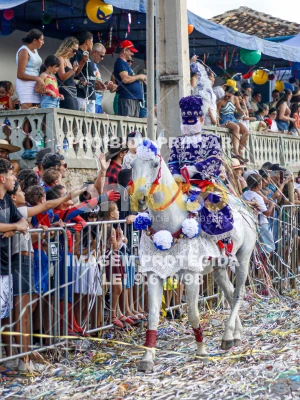 Detalhes da foto #47581