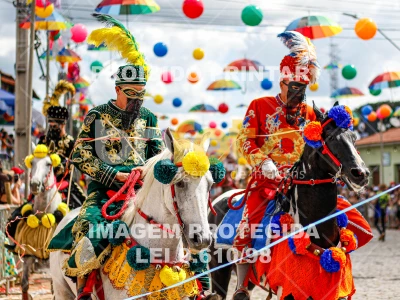 Detalhes da foto #71499