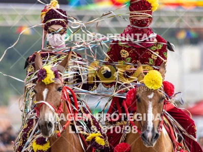 Detalhes da foto #48986