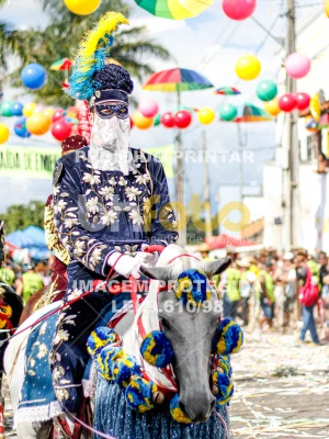 Detalhes da foto #34934