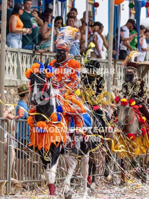 Detalhes da foto #50317