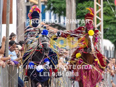 Detalhes da foto #13304