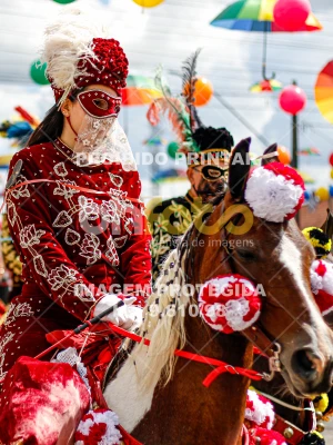 Detalhes da foto #13043