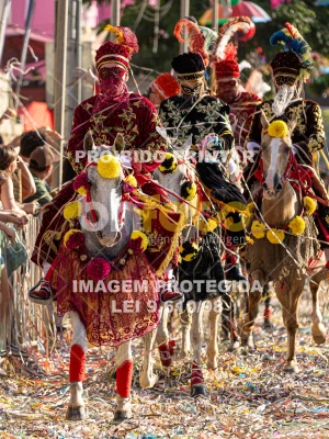 Detalhes da foto #49698