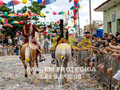 Detalhes da foto #72629