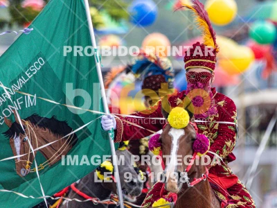 Detalhes da foto #55040