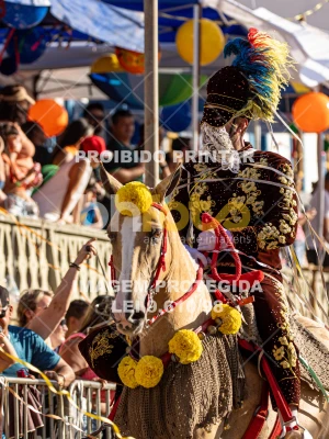 Detalhes da foto #18125