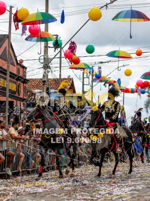 Detalhes da foto #11187