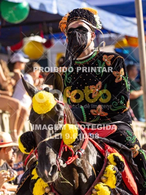 Detalhes da foto #92485