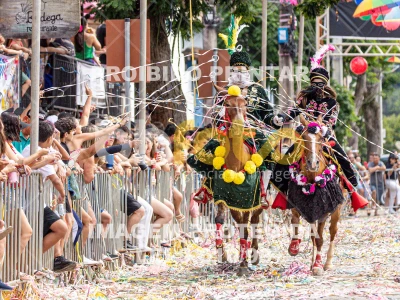 Detalhes da foto #85082