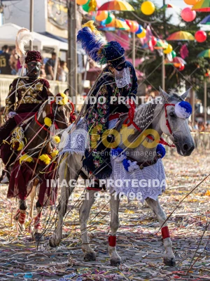 Detalhes da foto #55749