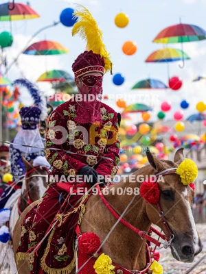Detalhes da foto #30952