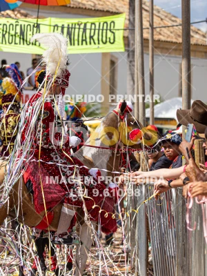 Detalhes da foto #99525