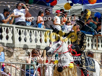 Detalhes da foto #43355