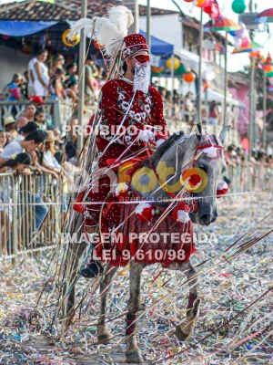 Detalhes da foto #84091