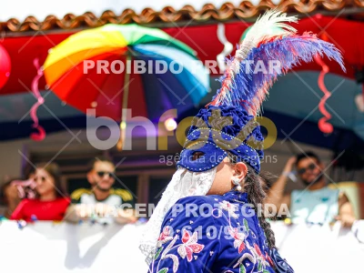 Detalhes da foto #30705