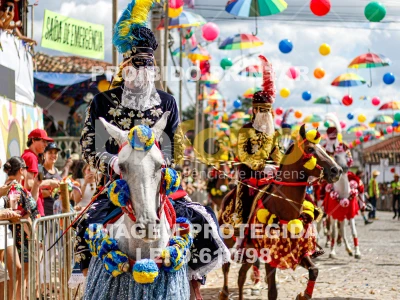 Detalhes da foto #69292