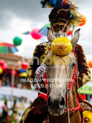 Detalhes da foto #53879