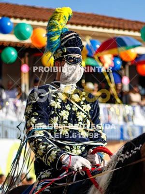 Detalhes da foto #12386