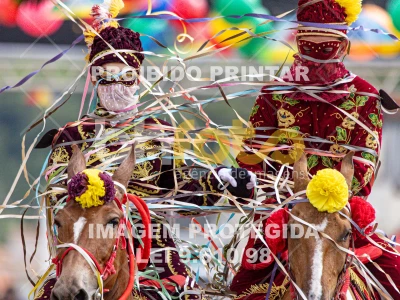 Detalhes da foto #56739