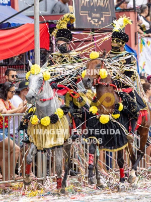 Detalhes da foto #78217