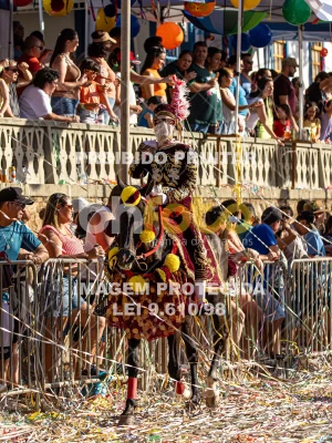 Detalhes da foto #10729