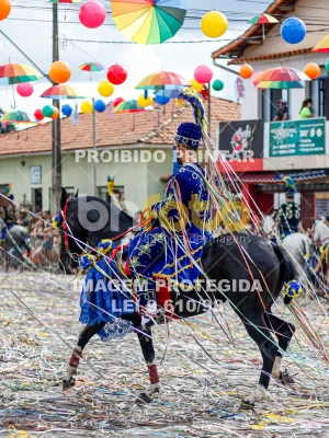 Detalhes da foto #63051