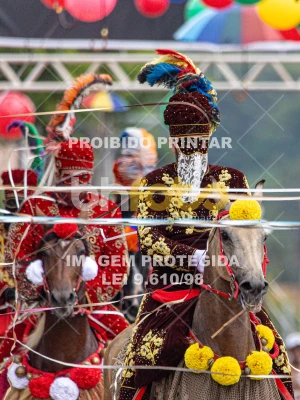 Detalhes da foto #91162