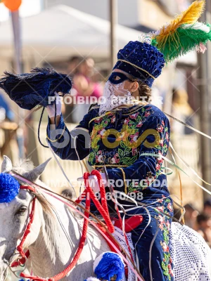 Detalhes da foto #50247