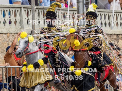 Detalhes da foto #40728