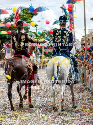 Detalhes da foto #87697