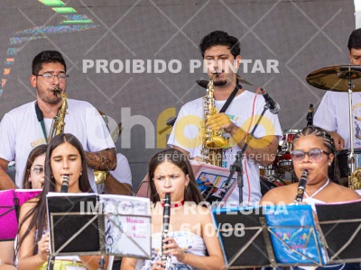 Detalhes da foto #98553