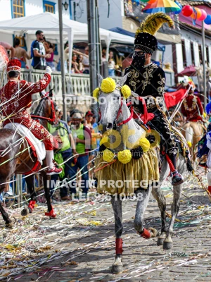 Detalhes da foto #66231