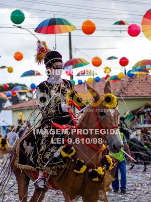 Detalhes da foto #48315