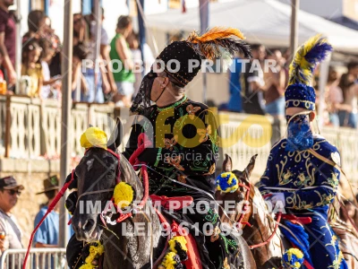 Detalhes da foto #96958