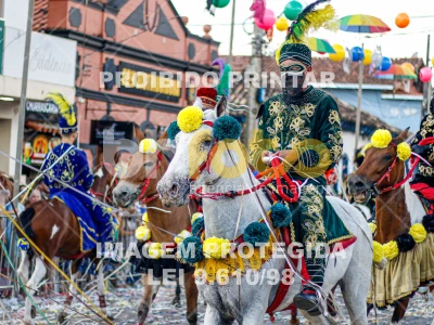 Detalhes da foto #60229